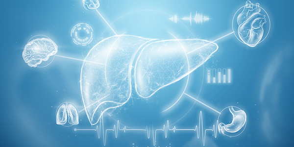 Fibroscan in New York